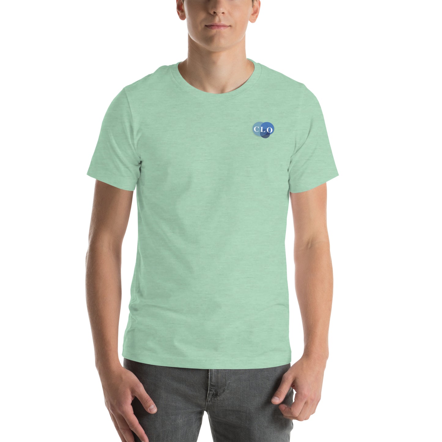 Learning Elf on a Shelf Unisex t-shirt