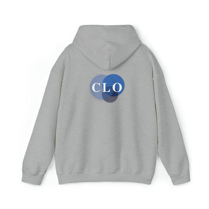 Chief Learning Officer Bubble Hooded Sweatshirt