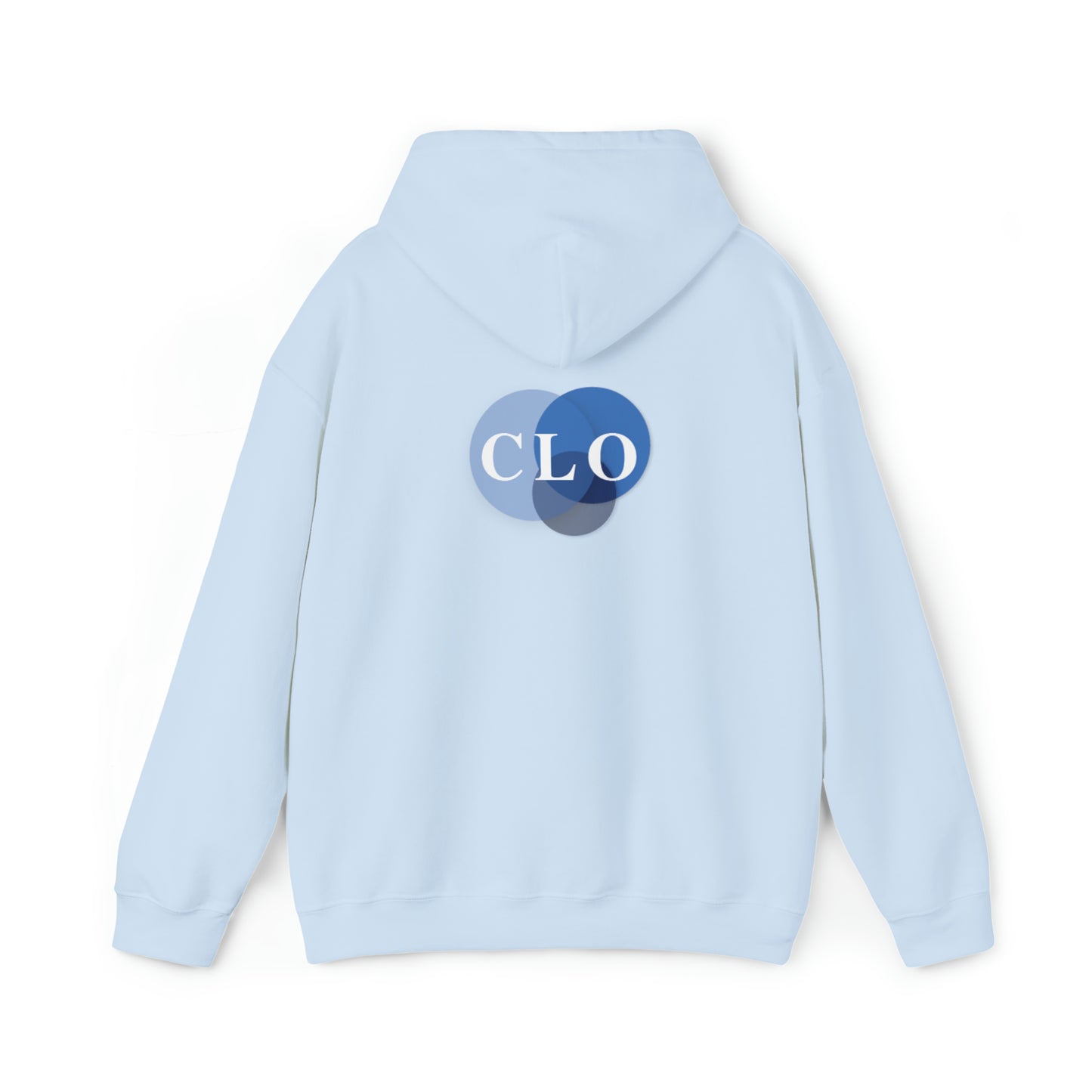 Chief Learning Officer Bubble Hooded Sweatshirt