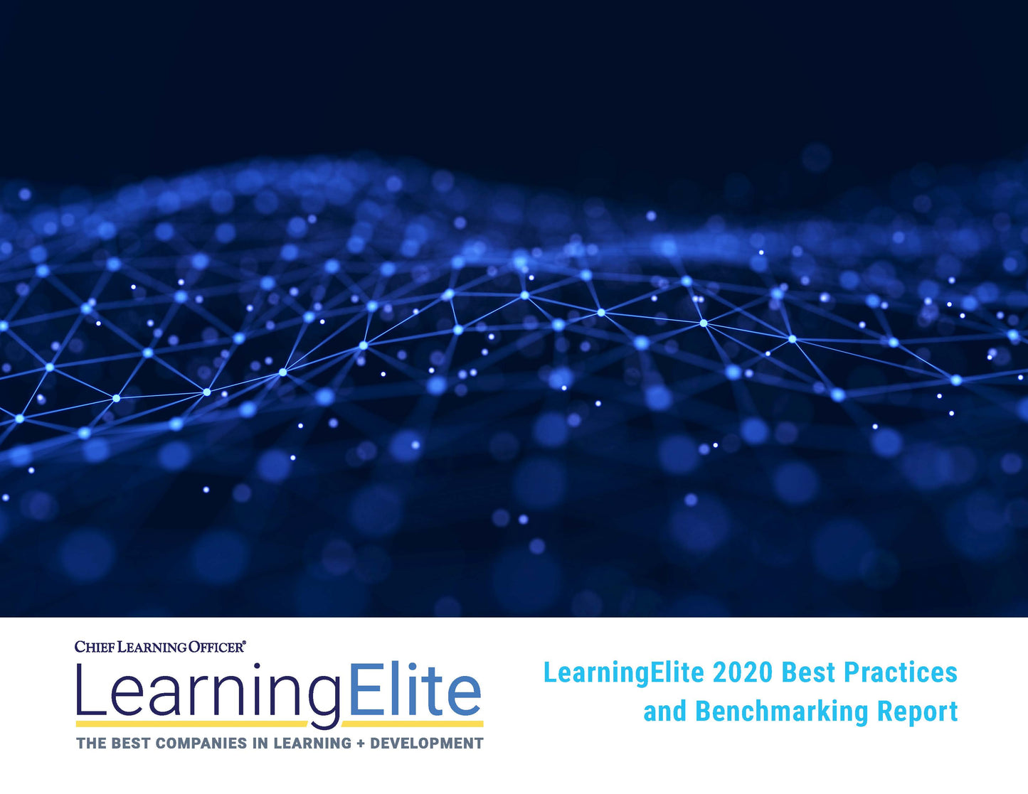 2020 LearningElite Best Practices and Benchmarking Report